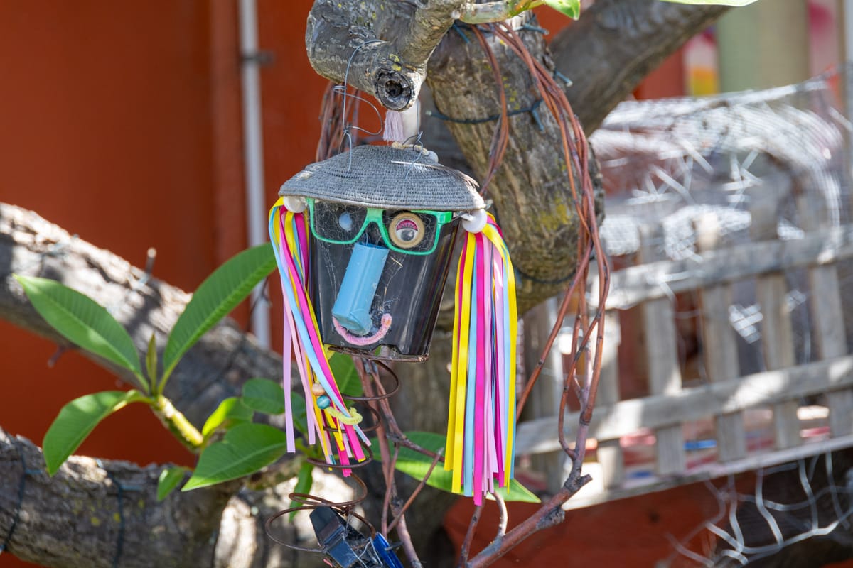 Curiosity Walk 02-01-2026