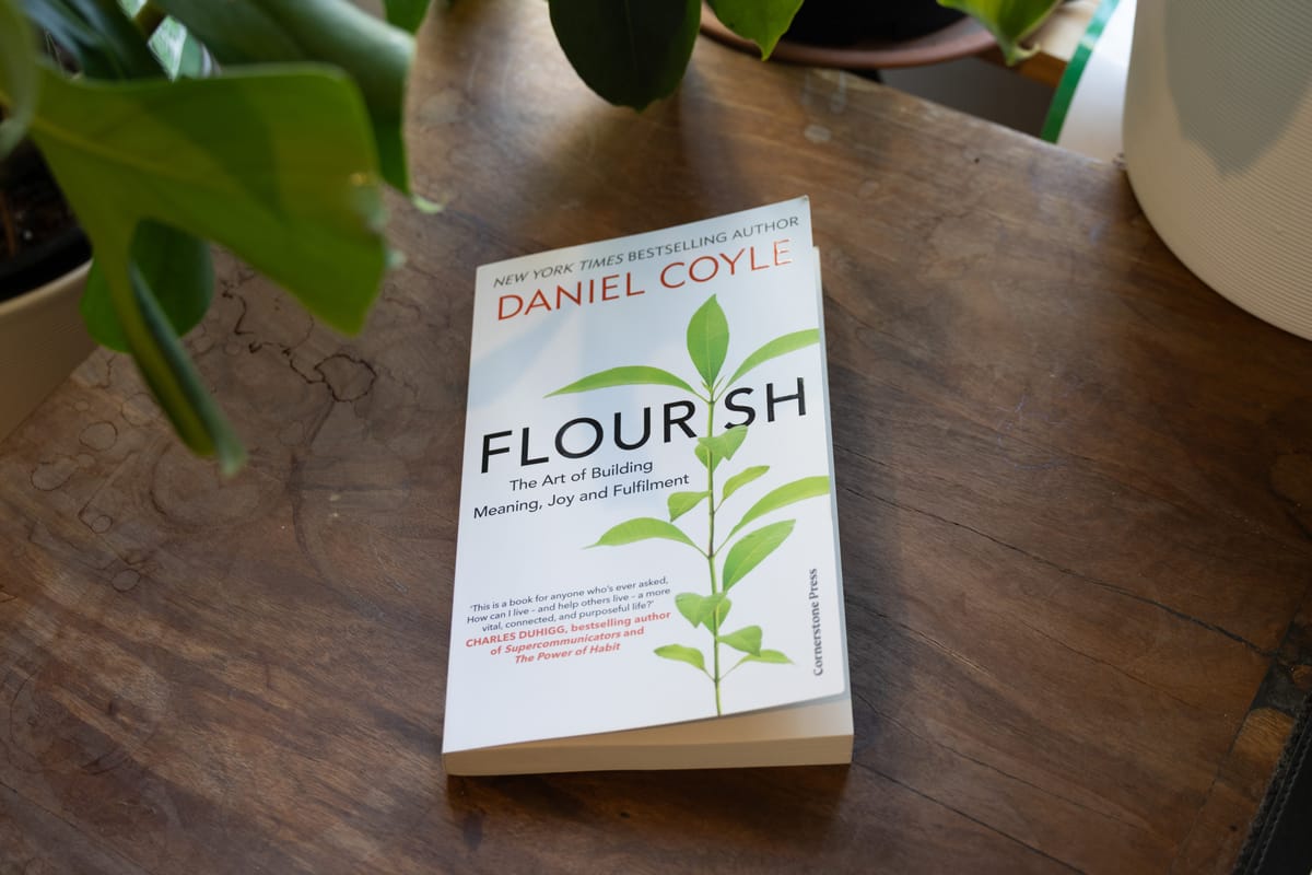 Flourish by Daniel Coyle