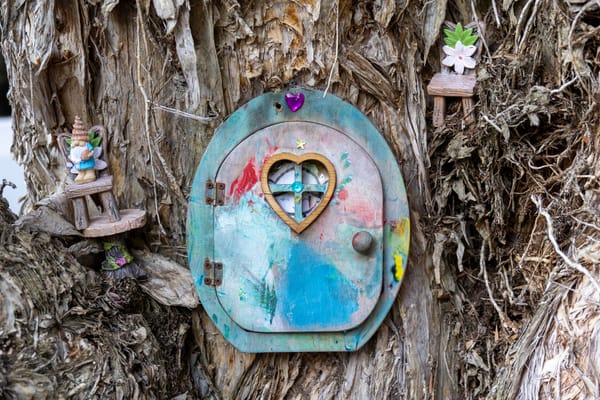 Curiosity Walk 01-01-2026